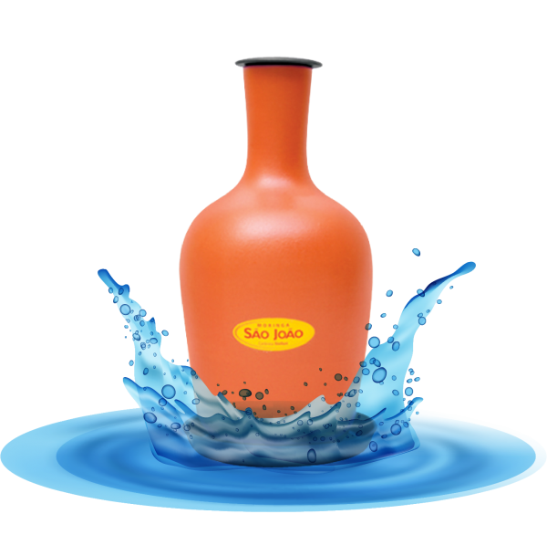 Botella 1 Litro